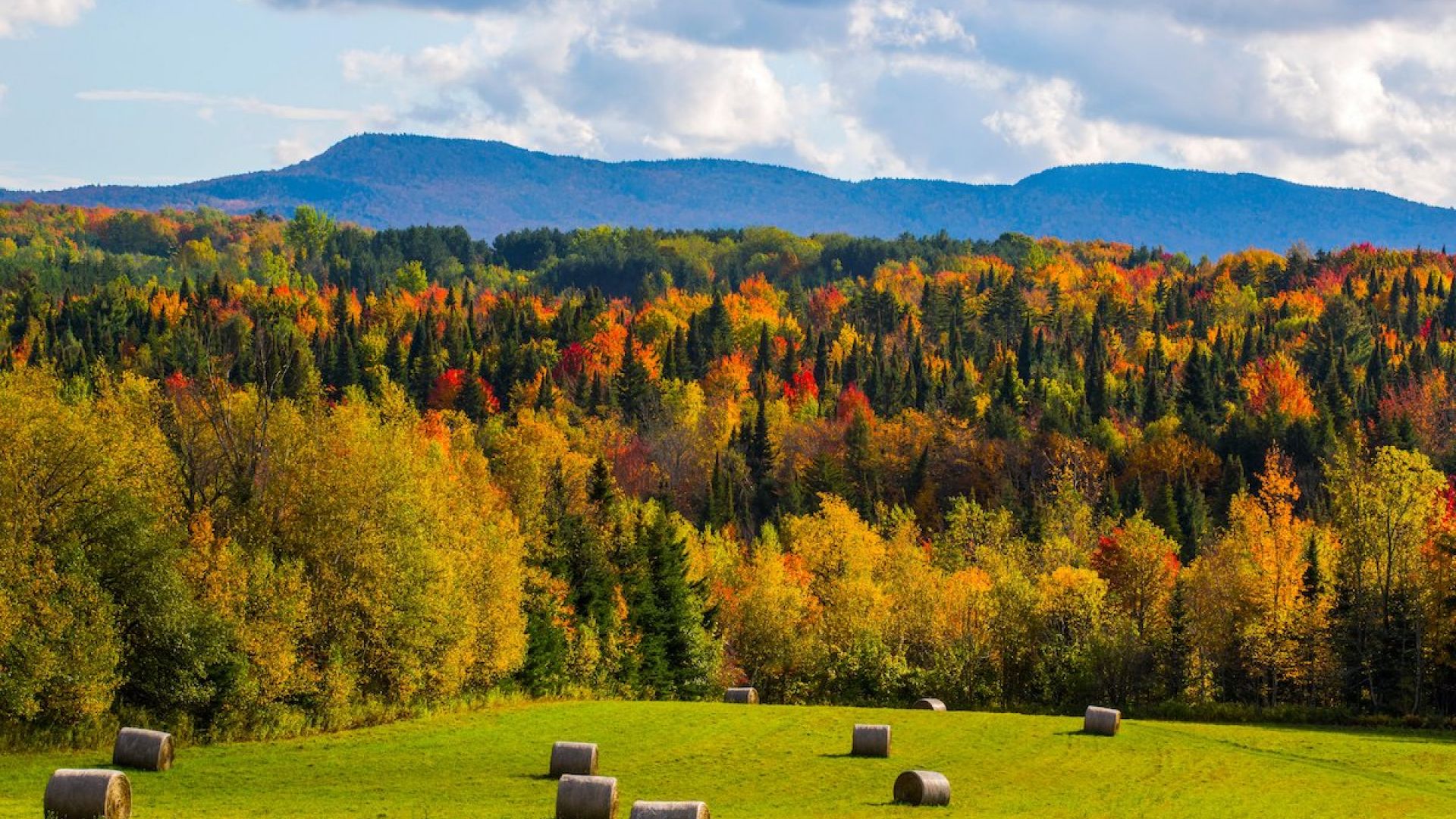 Quebec